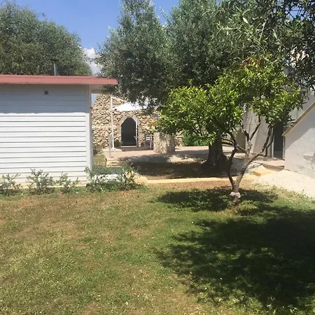 Ippocampo * Monacizzo